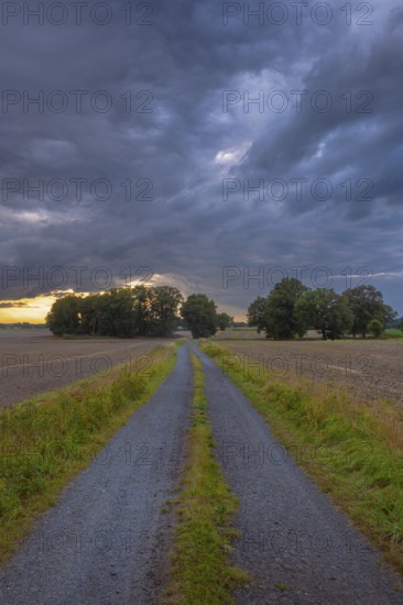 View along a country lane across fields to a dramatic sky in the evening light, Husum, Nienburg, Lower Saxony, Germany