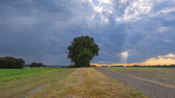 View across fields into the sky, revealing rays of sunlight through an opening, Husum, Nienburg, Lower Saxony, Germany