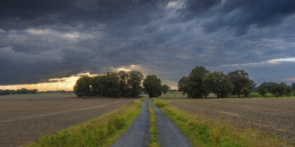 View along a country lane across fields to a dramatic sky in the evening light, Husum, Nienburg, Lower Saxony, Germany