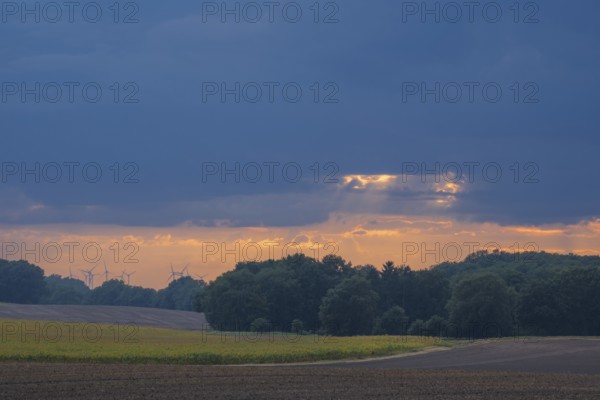 View over a field landscape where wind turbines can be seen behind trees in the rain and evening light, Husum, Nienburg, Lower Saxony, Germany