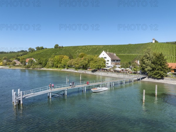 Aerial view of the jetty at the historic Rebgut Haltnau with catering business, outdoor catering and event venue, behind it a vineyard with wine tower, Meersburg, Lake Constance, Lake Constance district, Baden-Württemberg, Germany