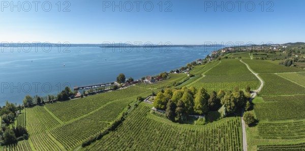 Aerial view, panorama of the Lerchenberg, vineyard, vineyard slope with the war graves and memorial site at the historic Haltnau vineyard near Meersburg with a view of Lake Constance, Lake Constance district, Baden-Württemberg, Germany
