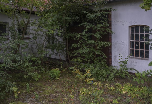 View of an overgrown entrance area of a workshop, Wietzen, Nienburg, Lower Saxony, Germany