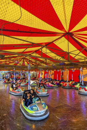 Bumper cars, Festwiese, Theresienwiese, Oktoberfest, Munich, Upper Bavaria, Bavaria, Germany