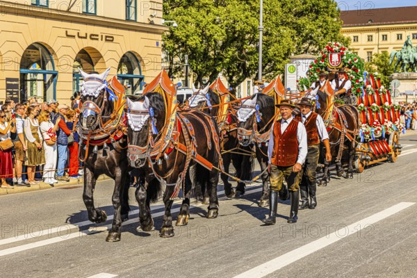 Splendid team of the Spaten brewery, traditional traditional costume and marksmen's procession, Oktoberfest, Munich, Upper Bavaria, Bavaria, Germany