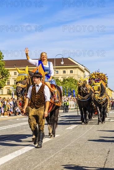 The Bräurosl Rosi Schuhegger on horseback, behind her the splendid team of the Hacker-Pschorr brewery, Trachten- und Schützenzug, Oktoberfest, Munich, Upper Bavaria, Bavaria, Germany