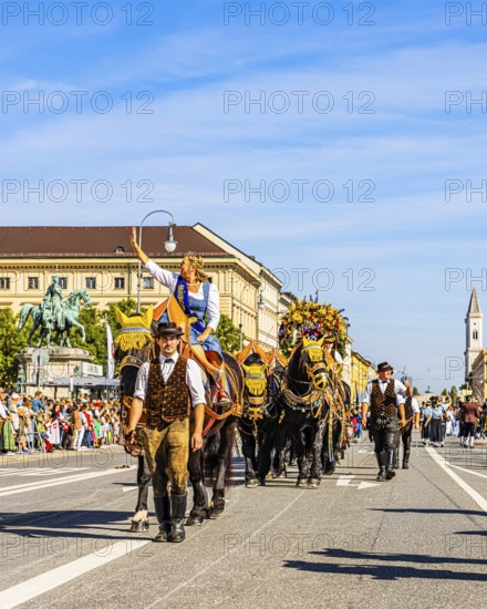 The Bräurosl Rosi Schuhegger on horseback, behind her the splendid team of the Hacker-Pschorr brewery, The Trachten- und Schützenzug, Oktoberfest, Munich, Upper Bavaria, Bavaria, Germany