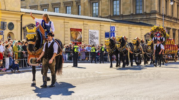 The Bräurosl Rosi Schuhegger, on horseback, behind her the splendid team of the Hacker-Pschorr brewery, traditional traditional costume and shooting parade, Oktoberfest, Munich, Upper Bavaria, Bavaria, Germany
