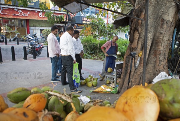 Indian man cutting a coconut, others watching, Begaluru or Bangalore, Karnataka, India
