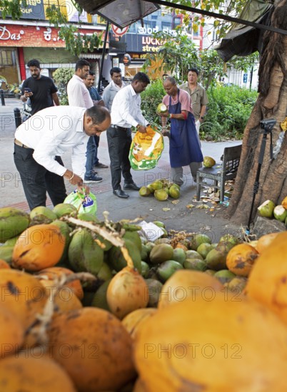 Indian man cutting a coconut, others holding sacks and watching, Begaluru or Bangalore, Karnataka, India