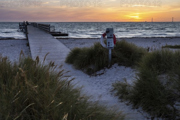 Wooden jetty to the sea at sunset with life buoy, surrounded by high grass bushes, Kobaek Strand, Sjaelland, Denmark