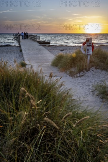 Sunset on the beach with wooden jetty and lifebuoy on a post, calm ocean in the background, Kobaek Strand, Sjaelland, Denmark