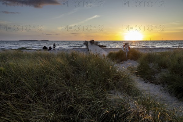 Beach with walkers, long pier jutting into the sea, sunny evening mood, Kobaek Strand, Sjaelland, Denmark