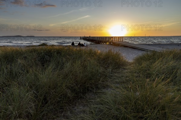 Beach with tall grass, pier and sea at sunset, peaceful and idyllic atmosphere, Kobaek Strand, Sjaelland, Denmark