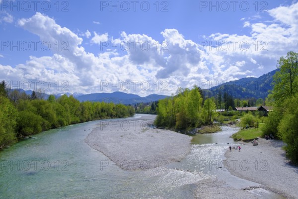 Isar near Lenggries, Upper Bavaria, Bavaria, Germany