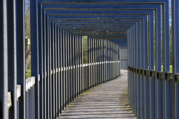 Heusterzbrücke, Waldnaabaue, Große Teichpfanne, Vizinalradweg, near Tirschenreuth, Upper Palatinate, Bavaria, Germany