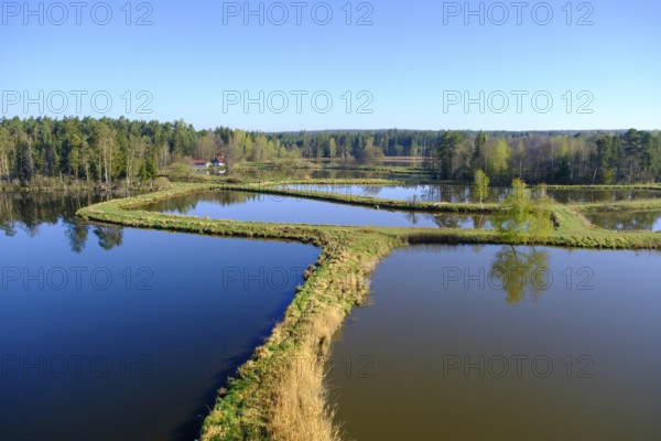 Tirschenreuther Teiche, Waldnaabaue, Große Teichpfanne, Vizinalradweg, near Tirschenreuth, Upper Palatinate, Bavaria, Germany