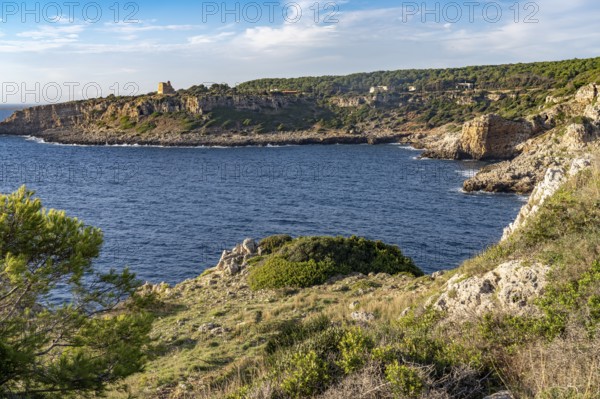 Landscape on the coast of the Porto Selvaggio nature reserve, Santa Caterina, Nardo, Apulia, Italy
