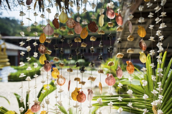 Curtain of shells, Sunrise Beach, Koh Hai, Ko Ngai, Krabi Province, Trang, Southern Thailand, Andaman Sea, Thailand