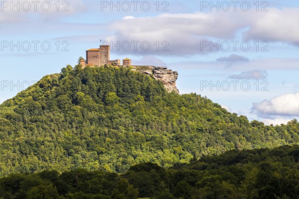 Brug Trifels, Annweiler, mixed forest, sandstone rock, Pfläzerwald, Rhineland-Palatinate, Germany