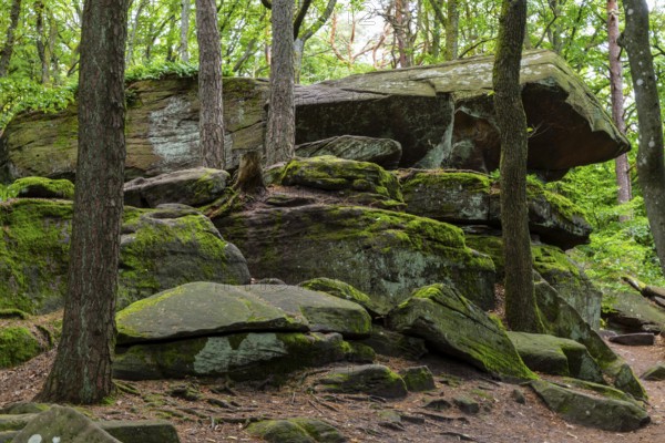 Boulders in the forest, red sandstone, sea of rocks, Kalmit, Maikammer, Pfläzerwald, Rhineland-Palatinate, Germany