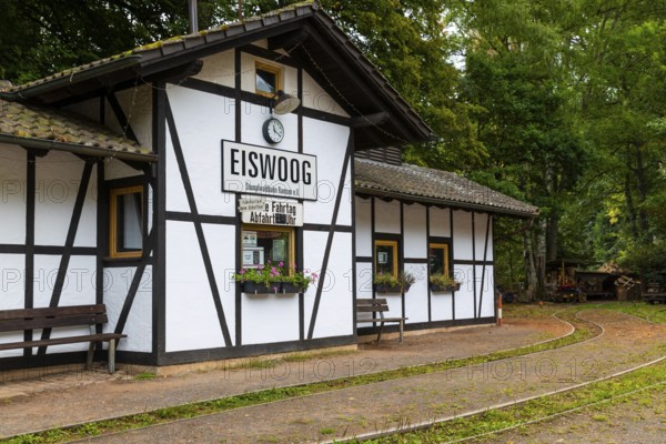 Swamp forest railway, historic railway station, Eiswoog, Ramsen, Pfläzerwald, Rhineland-Palatinate, Germany