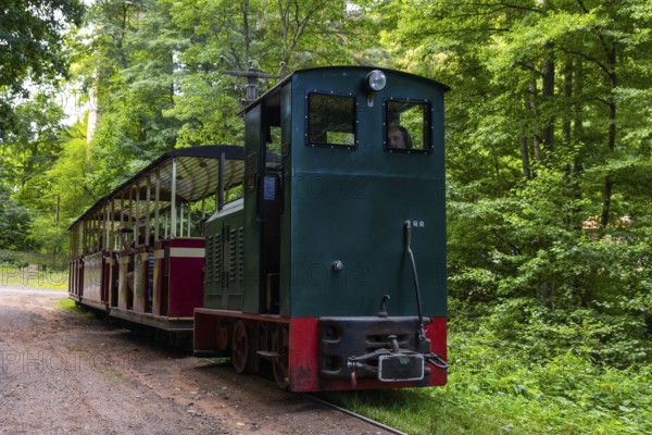 Swamp forest railway, historic railway, Eiswoog, Ramsen, Pfläzerwald, Rhineland-Palatinate, Germany