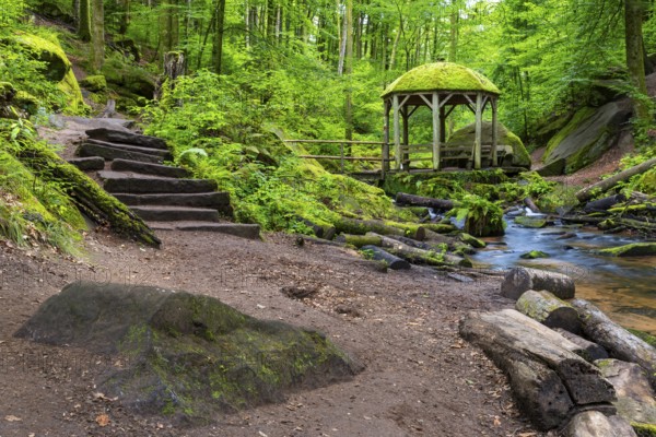 Stream, stone steps, pavilion, Karlstal Gorge, Trippstadt, Pfläzerwald, Rhineland-Palatinate, Germany
