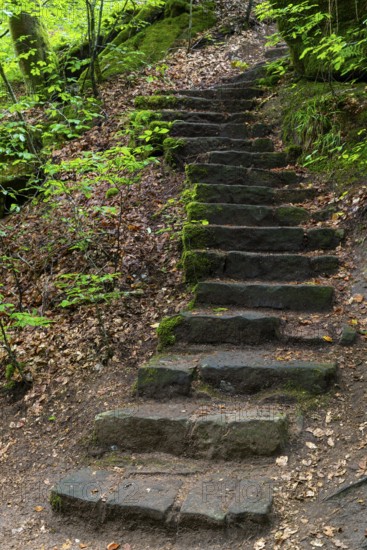 Stone steps on a slope, Karlstal Gorge, Trippstadt, Pfläzerwald, Rhineland-Palatinate, Germany