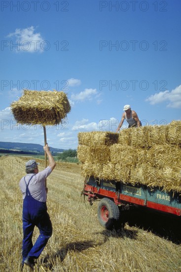Hay harvest, farmers loading hay bales onto a wagon, Franconia, Bavaria, Germany