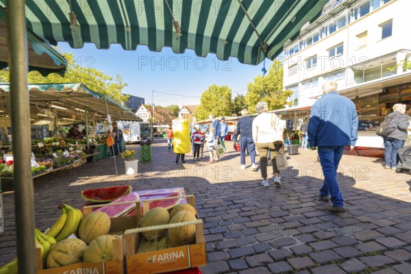 Visitors under striped market umbrellas stroll past a stall with melons and bananas, Sindelfingen, Böblingen district, Germany