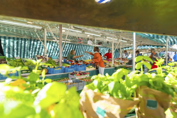 A customer and saleswoman in conversation at a colourful market stall, Sindelfingen, Böblingen district, Germany