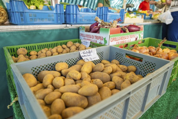 Market stall with crates full of potatoes and onions. Price label visible on one of the crates, Sindelfingen, Böblingen district, Germany