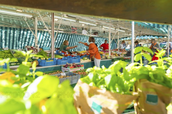 Customers talking to a saleswoman at a market stall, surrounded by fresh produce, Sindelfingen, Böblingen district, Germany