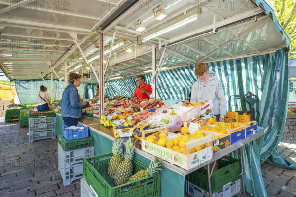 People buying fresh fruit at a colourful market stall under a striped market tent, Sindelfingen, Böblingen district, Germany