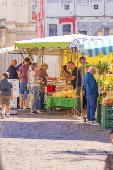 Vendors serving customers at an outdoor market stall with fresh fruit and vegetables, Sindelfingen, Böblingen district, Germany