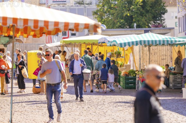 The market is full of people browsing the stalls with goods under colourful marquees, Sindelfingen, district of Böblingen, Germany