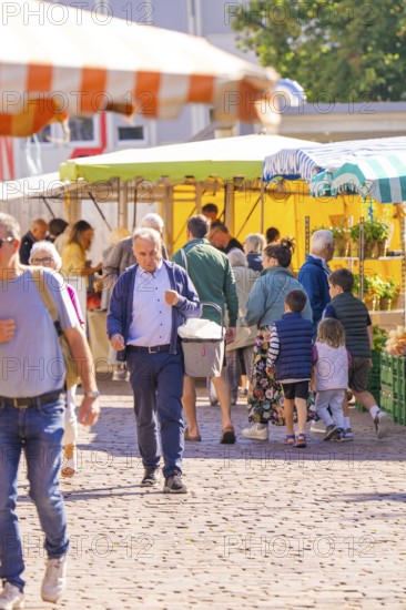 A busy outdoor market with lots of people and colourful stalls under parasols, Sindelfingen, Böblingen district, Germany