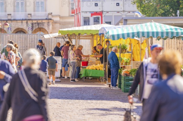 Visitors, including families with children, explore the attractive stalls at the market, Sindelfingen, Böblingen district, Germany