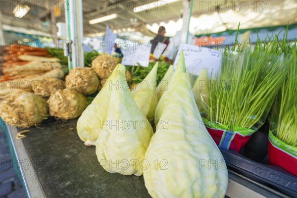 Kohlrabi and herbs on a market stall in fresh surroundings, Sindelfingen, Böblingen district, Germany