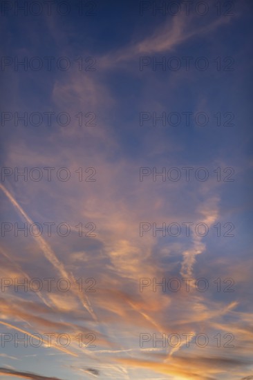 Contrails in the evening sky, Bavaria, Germany