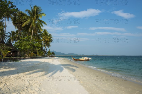 White sandy beach and coconut palms, Pearl Beach, Koh Mook, Trang Province, Southern Thailand, Andaman Sea, Thailand