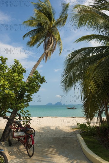 White sandy beach and coconut palms, Pearl Beach, Koh Mook, Trang Province, Southern Thailand, Andaman Sea, Thailand
