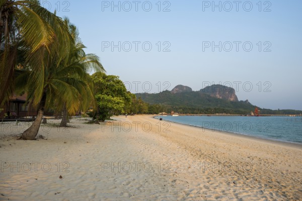 White sandy beach and coconut palms, sunset, Pearl Beach, Koh Mook, Trang Province, Southern Thailand, Andaman Sea, Thailand