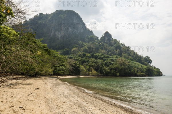 Sandy beach beach and coconut palms, Lo Dung Beach, Koh Mook, Trang Province, Southern Thailand, Andaman Sea, Thailand