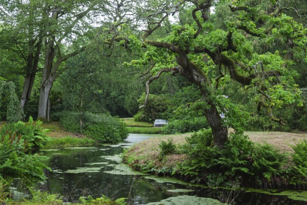 Park of Lütetsburg Castle, Lütetsburg, East Frisia, Lower Saxony, Germany
