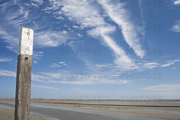 Beach pile, beach post on the German North Sea coast, East Frisia, Lower Saxony, Germany