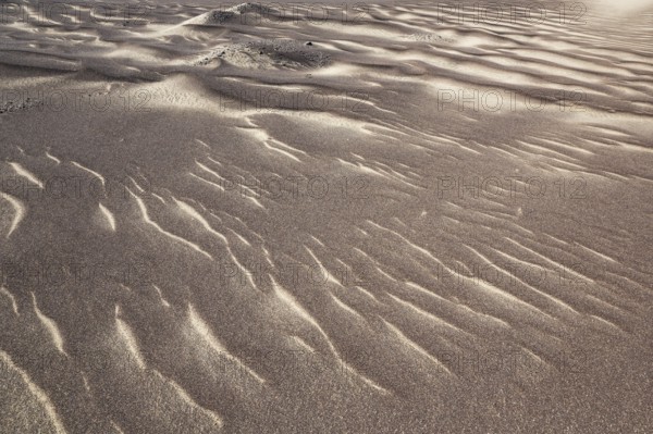 Patterns in the sand of the Namib Desert. Skeleton Coast National Park, Namibia
