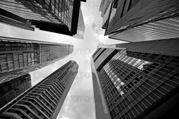 Frog's-eye view of the skyscrapers in the banking district, Four Frankfurt, Frankfurt am Main, Hesse, Germany