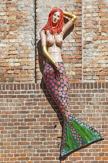 Mermaid, mermaid, figure on brick wall, warehouse, Neue Semlower Straße, harbour island, old town, UNESCO World Heritage Site, Hanseatic city of Stralsund, Mecklenburg-Western Pomerania, Germany